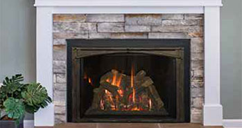 Roosevelt Gas Insert